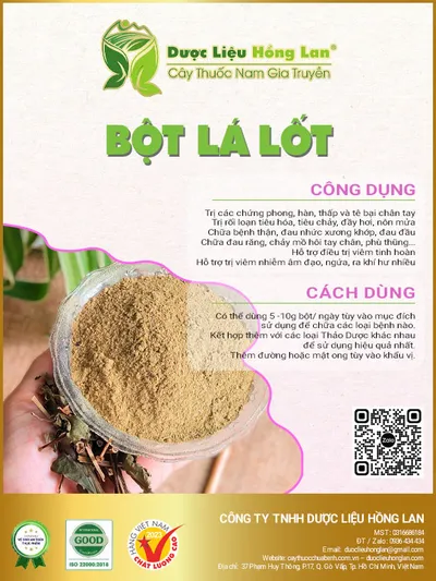 Bột Lá Lốt