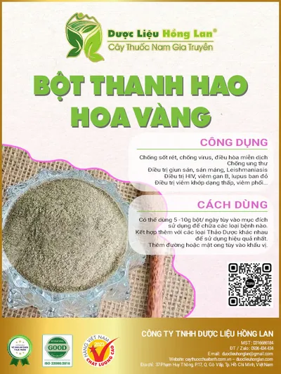 Bột Thanh Hao Hoa Vàng