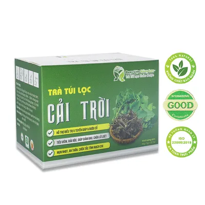 Trà Túi Lọc Cây Rau Cải Trời