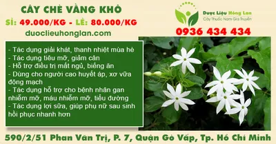 Cây Chè Vằng khô