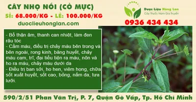 Cây Nhọ Nồi (Cỏ Mực) khô
