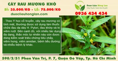 Cây Rau Mương khô