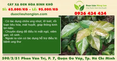 Cây Xạ Đen Hòa Bình khô