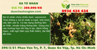 Bá tử nhân