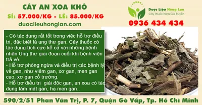 Cây An Xoa khô