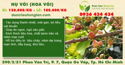 Nụ Vối (Hoa Vối)