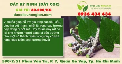 Dây ký ninh (dây cóc)