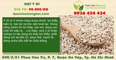 Hạt Ý Dĩ