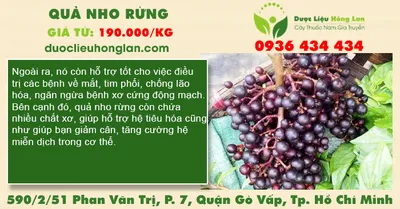 Quả Nho Rừng