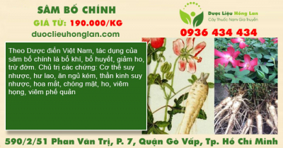 Sâm Bố Chính