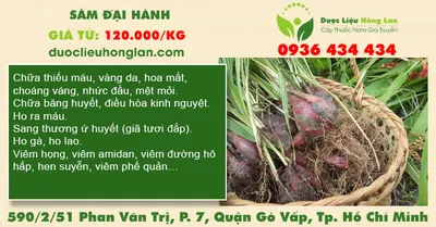Sâm Đại Hành