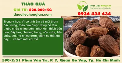 Thảo quả