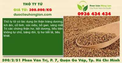 Thỏ ty tử