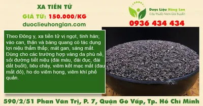 Xa tiền tử