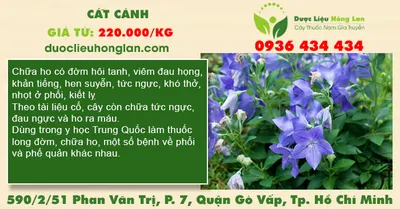 Cát cánh