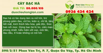 Cây Bạc Hà