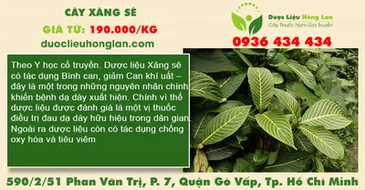 Cây xăng sê