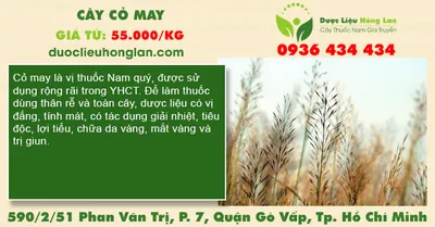 Cây cỏ may