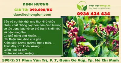 Đinh Hương
