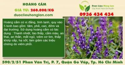 Hoàng cầm