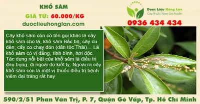 Khổ Sâm