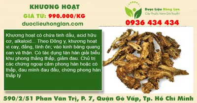 Khương hoạt