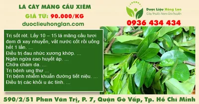 Lá cây mãng cầu xiêm