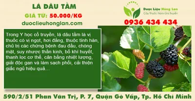 Lá Dâu Tằm