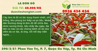 Lá Đơn đỏ