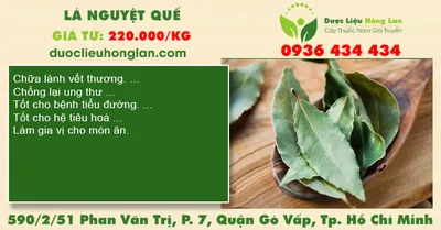 Lá nguyệt quế
