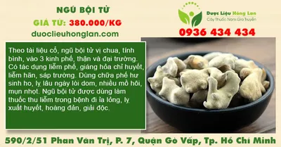 Ngũ bội tử