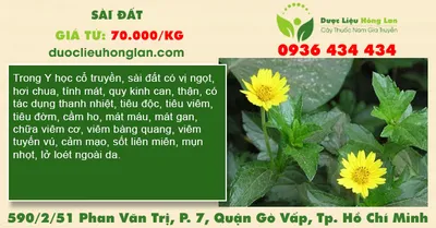 Sài Đất