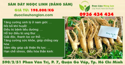 Sâm dây ngọc linh (Đẳng sâm)