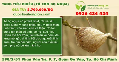 Tang tiêu phiêu (tổ con bọ ngựa)