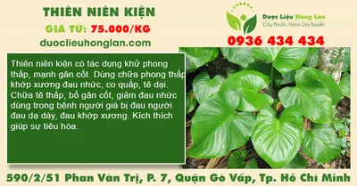 Thiên Niên Kiện