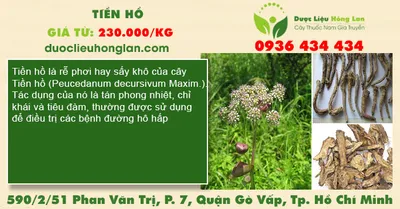 Tiền hồ