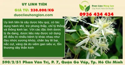 Uy Linh Tiên