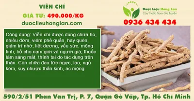 Viễn Chí