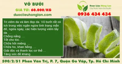 Vỏ Bưởi