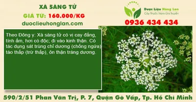 Xà sàng tử