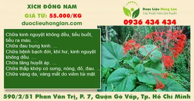 Xích Đồng Nam