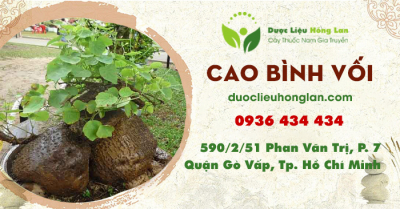 Cao Bình Vôi