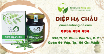 Cao Diệp Hạ Châu