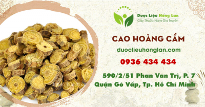 Cao Hoàng Cầm