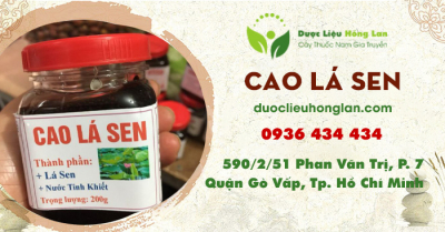 Cao Lá Sen