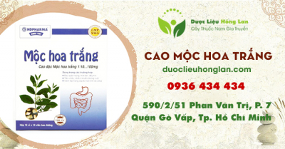 Cao Mộc Hoa Trắng