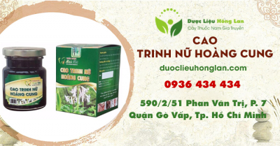 Cao Trinh Nữ Hoàng Cung