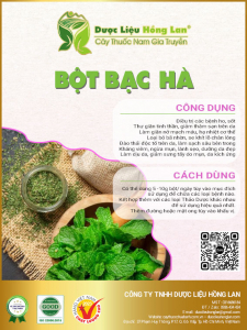 Bột Cây Bạc Hà