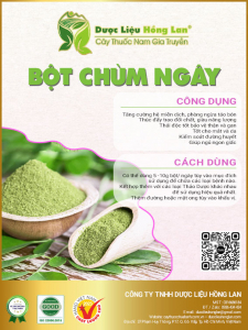 Bột Chùm Ngây
