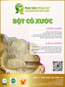 Bột Cây Cỏ Xước